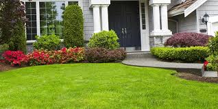 Lawn Care  Albany NY